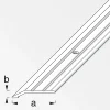 Flach-Abschlussprofil 30 x 5 mm 1m titan ^ Alfer Clearance