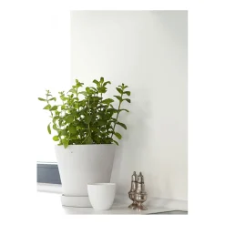 Feine Farben Zeit der Eisblumen 2,5 L ^ Alpina Clearance