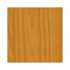 Zaunlasur 5 L ^ Basic Hot