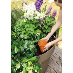 Bewässerungskegel Aquado ^ Clearance
