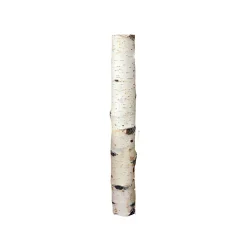 Birkensticks 20 cm Durchmesser 3-4 cm ^ Outlet