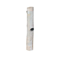 Birkensticks 20 cm Durchmesser 3-4 cm ^ Outlet