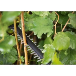 Akku-Heckenschere AdvancedHedgeCut 18V-55 ^ Bosch