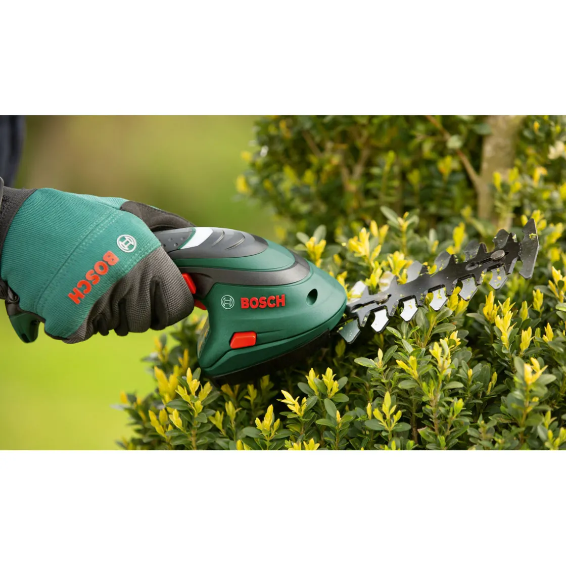 Gras-und Strauchschere Isio ^ Bosch Online