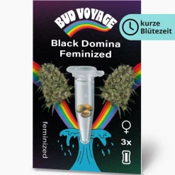 Hanfsamen Black Domina Feminisiert ^ Bud Voyage Clearance