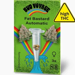 Hanfsamen Fat Bastard Auto ^ Bud Voyage Clearance