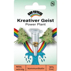 Hanfsamen Kreativer Geist - Power Plant ^ Bud Voyage Sale
