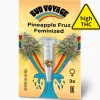 Hanfsamen Pineapple Fruz Feminisiert ^ Bud Voyage