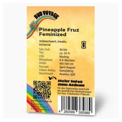 Hanfsamen Pineapple Fruz Feminisiert ^ Bud Voyage