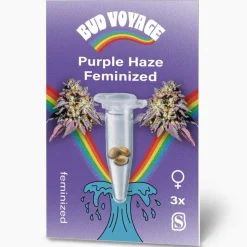 Hanfsamen Purple Haze Feminisiert ^ Bud Voyage Outlet