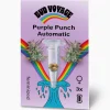 Hanfsamen Purple Punch Auto ^ Bud Voyage Hot