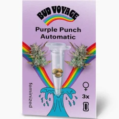Hanfsamen Purple Punch Auto ^ Bud Voyage Hot