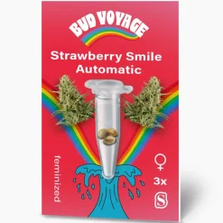 Hanfsamen Strawberry Smile Auto ^ Bud Voyage Clearance