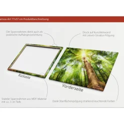 Canvas-Art Wald 60 x 80 cm ^ Pro-Art