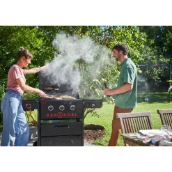 CBGas2Coal 2.0 330 Special Edition ^ Char-Broil Best