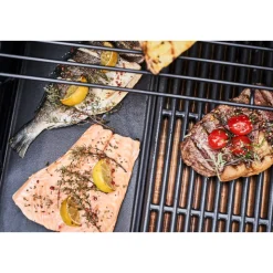 CB Gasgrill Professional Power Edition 3 ^ Char-Broil