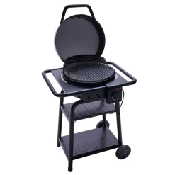 CBPatio Bistro E2Coal 240 ^ Char-Broil Best