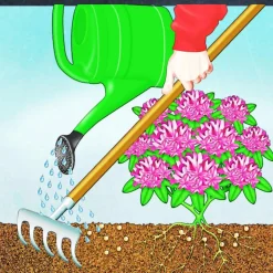 BIO Rhododendron- und Hortensien Langzeit-Dünger mit Schafwolle ^ Compo Outlet