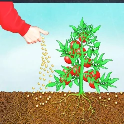 BIO Tomaten Langzeit-Dünger mit Schafwolle 750 g ^ Compo Best