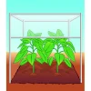 BIO Tomaten- und Gemüseerde torffrei 40 L ^ Compo Best