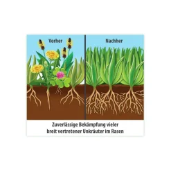 FLORANID Rasendünger plus Unkrautvernichter für 400 m² ^ Compo Sale