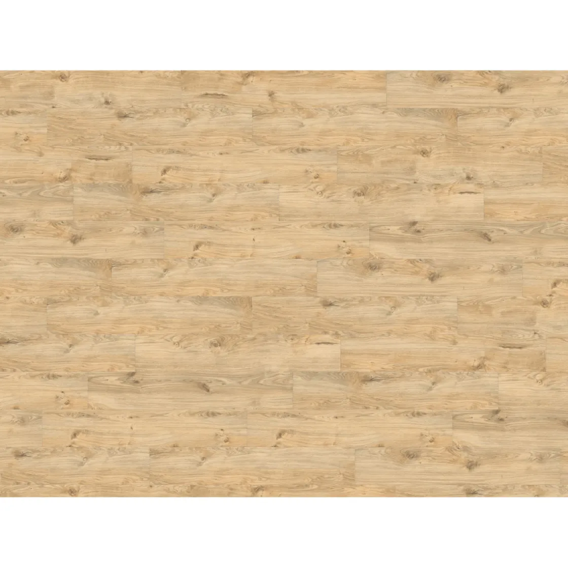 Designboden Hydrostar Eiche Alba 128,2 x 23,5 cm ^ New