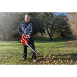 Elektro-Laubsauger GC-EL 3000E ^ Einhell Sale