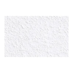Rauhfaser Classico 2000 x 53 cm ^ Erfurt Hot