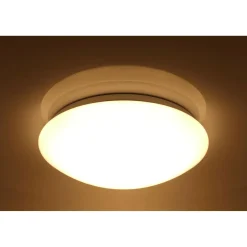 LED-Wand- und Deckenleuchte Sandy dimmbar 30 cm ^ Flector Discount