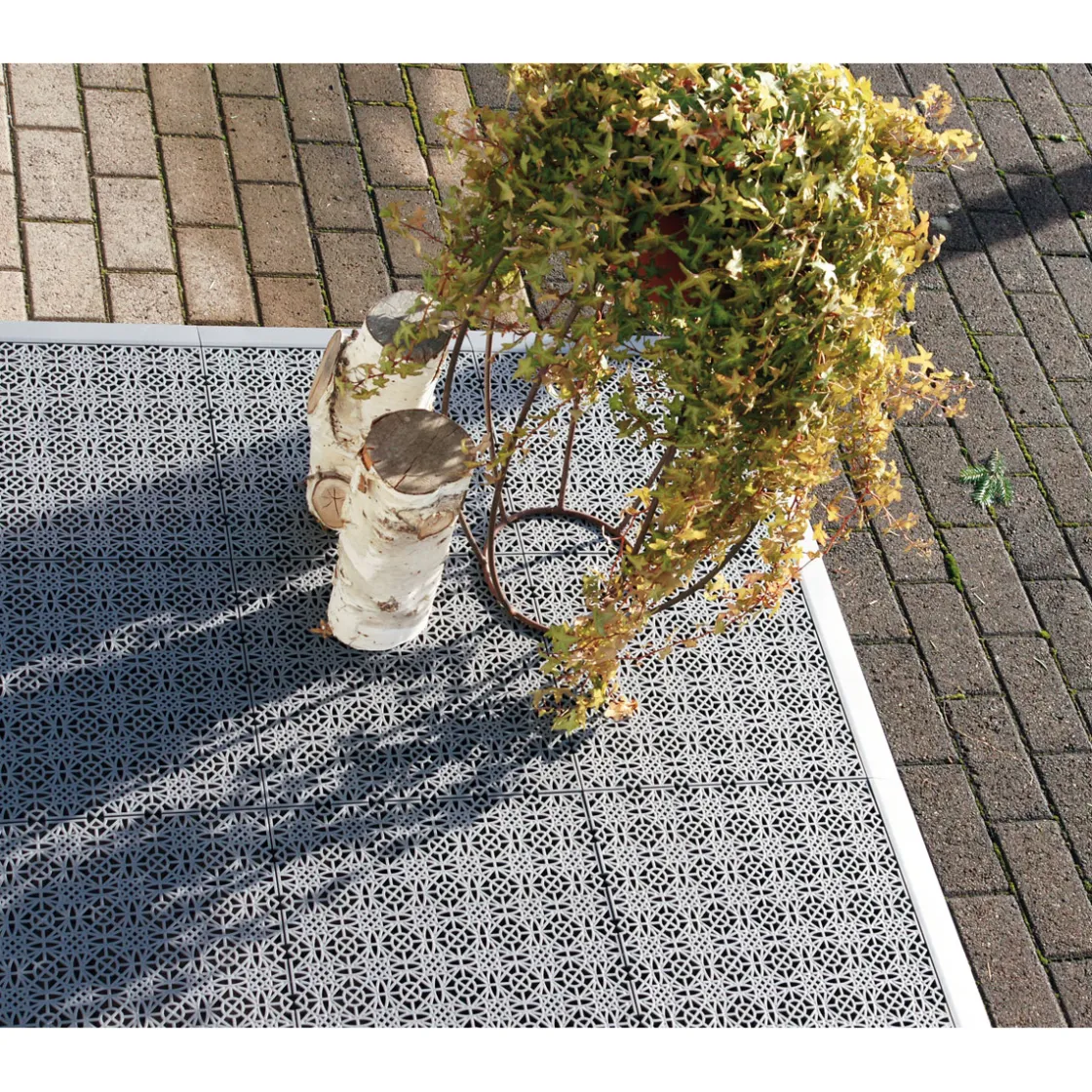 Fliese Terra Sol dunkelgrau 38x38cm 7St. ^