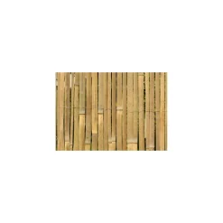 Sichtschutz Classic Bambushalbsch 3,0x1,5 m ^ floraworld Outlet
