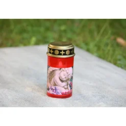 Flower Power LED Outdoor Grablampe mit Dorn TUMBA RED 7 x 13 cm Kunststoff ^ Hot