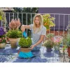 Formschnittmatte City Gardening ^ Gardena Sale
