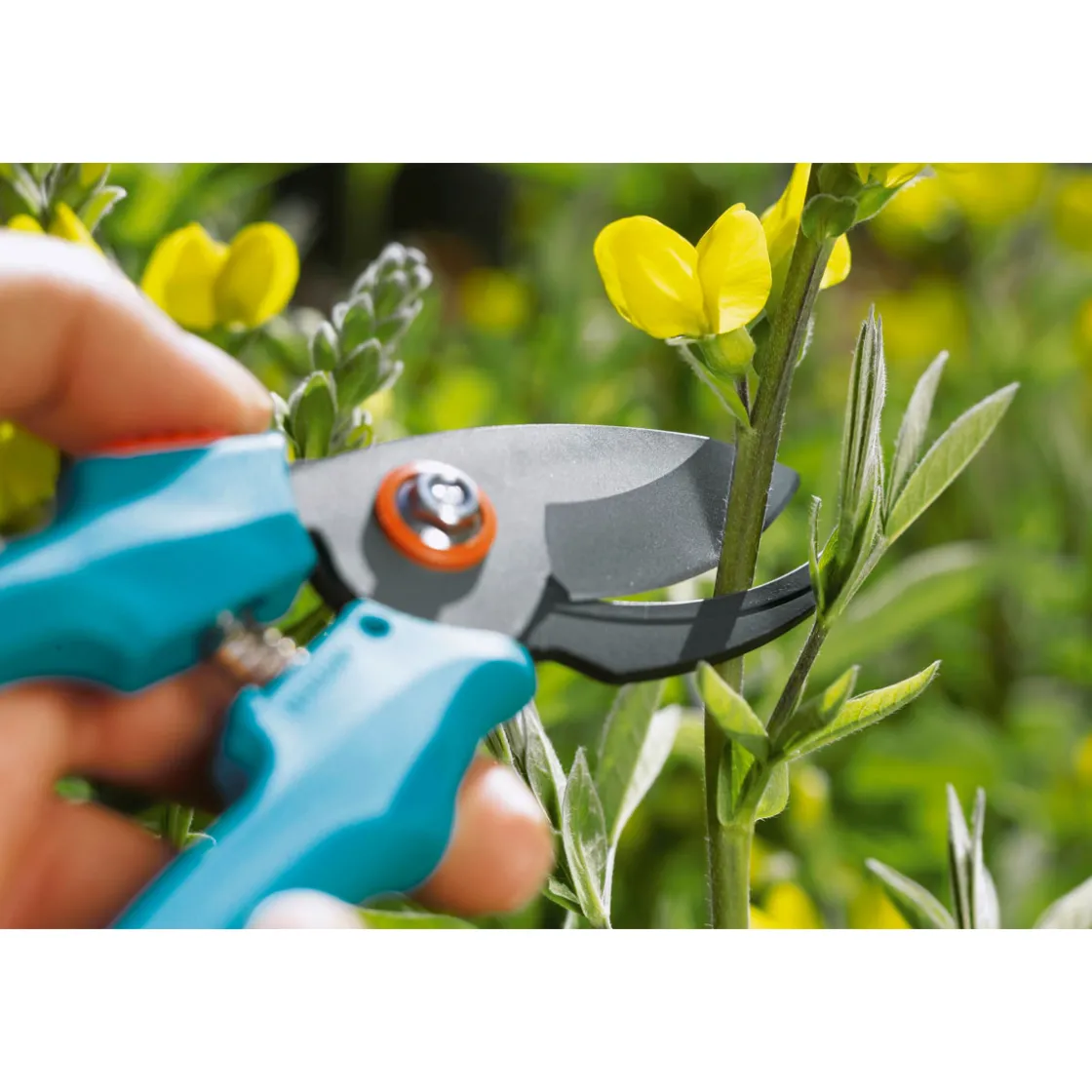 Gartenschere Classic ^ Gardena Clearance
