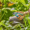Gartenschere EasyCut ^ Gardena Outlet
