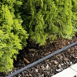 Perl-Regner 15 m ^ Gardena Best