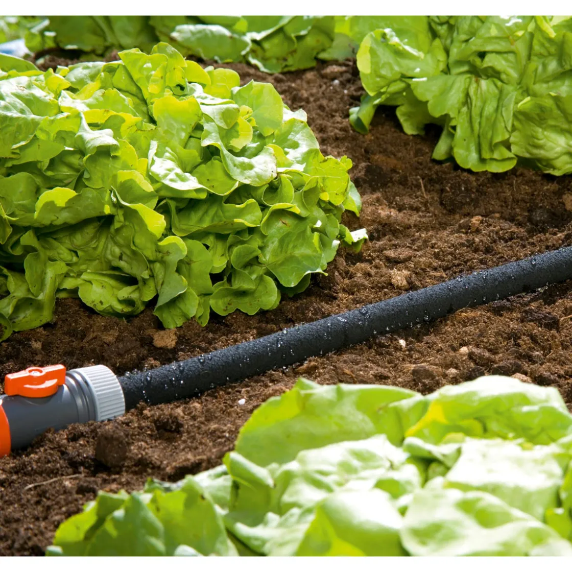 Perl-Regner 15 m ^ Gardena Best