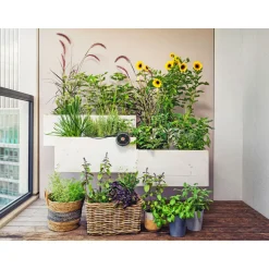 Solar-Bewässerungs-Set AquaBloom ^ Gardena Clearance