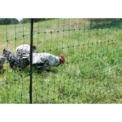 Geflügelnetz PoultryNet Doppelspitze 2500 x 106 cm dunkelgrün ^ New
