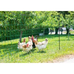 Geflügelnetz PoultryNet Doppelspitze 2500 x 106 cm dunkelgrün ^ New