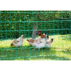 Geflügelnetz PoultryNet Doppelspitze 2500 x 106 cm dunkelgrün ^ New