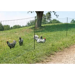 Geflügelnetz PoultryNet Doppelspitze 2500 x 106 cm dunkelgrün ^ New