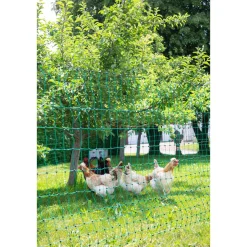 Geflügelnetz PoultryNet Doppelspitze 106 cm m grün ^ Discount