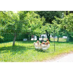 Geflügelnetz PoultryNet Doppelspitze 106 cm m grün ^ Discount