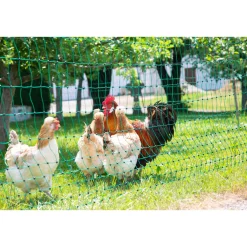 Geflügelnetz PoultryNet Doppelspitze 106 cm m grün ^ Discount