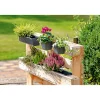 Pflanzgefäß Easy 37 x 14 cm anthrazit ^ Geli Hot