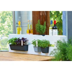 Pflanzgefäß Easy 37 x 14 cm anthrazit ^ Geli Hot