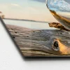 Glas-Art Drop On Wood 30 x 80 Glasbild ^ Pro-Art Online