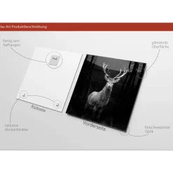 Glas-Art Grey Deer Head 20 x 20 Glasbild ^ Pro-Art Discount