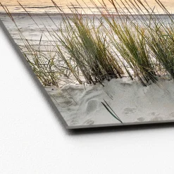 Glas-Art Lonely Dune 30 x 30 Glasbild ^ Pro-Art Online